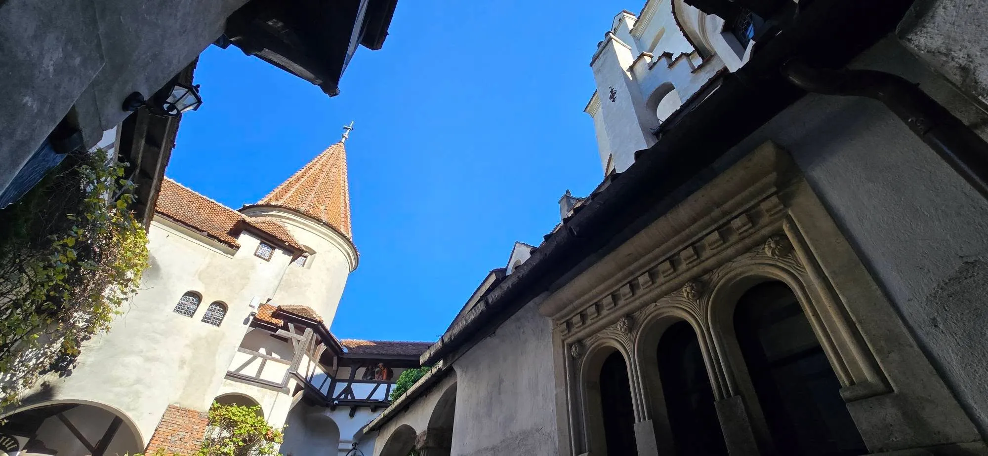 Bran Castle 3