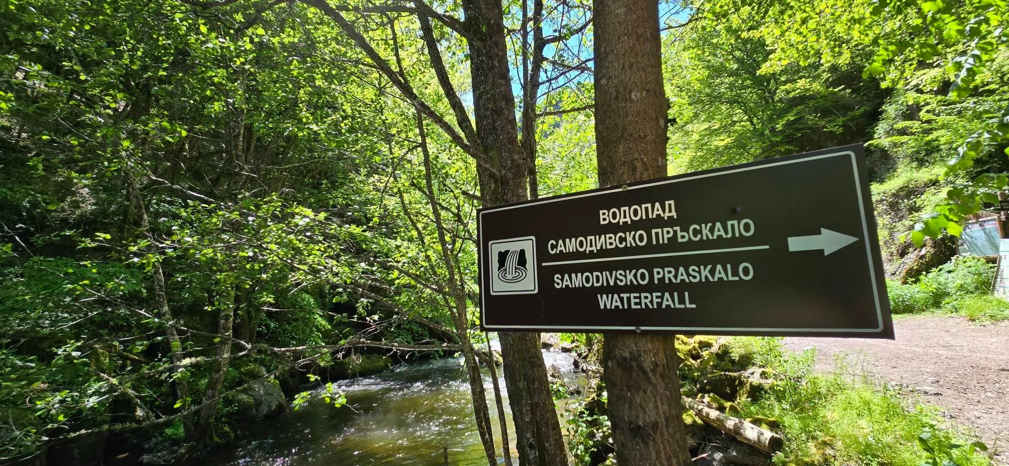 Самодивско пръскало 1