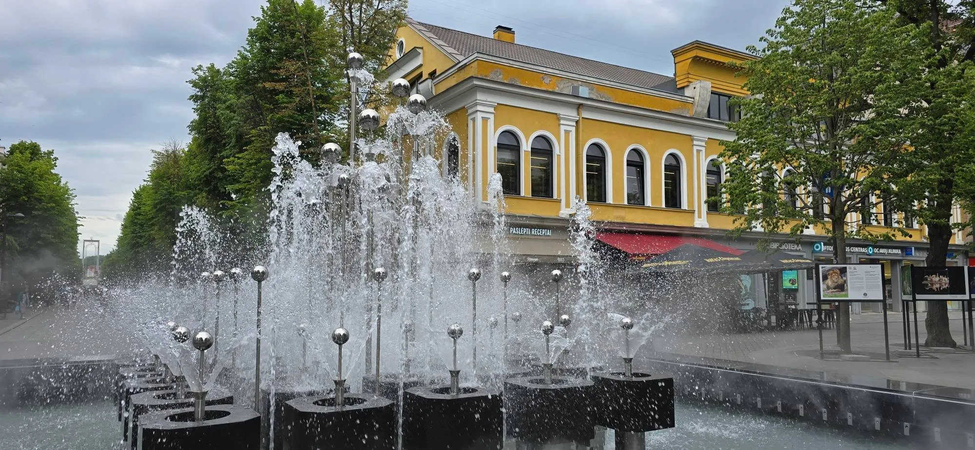 Kaunas 17