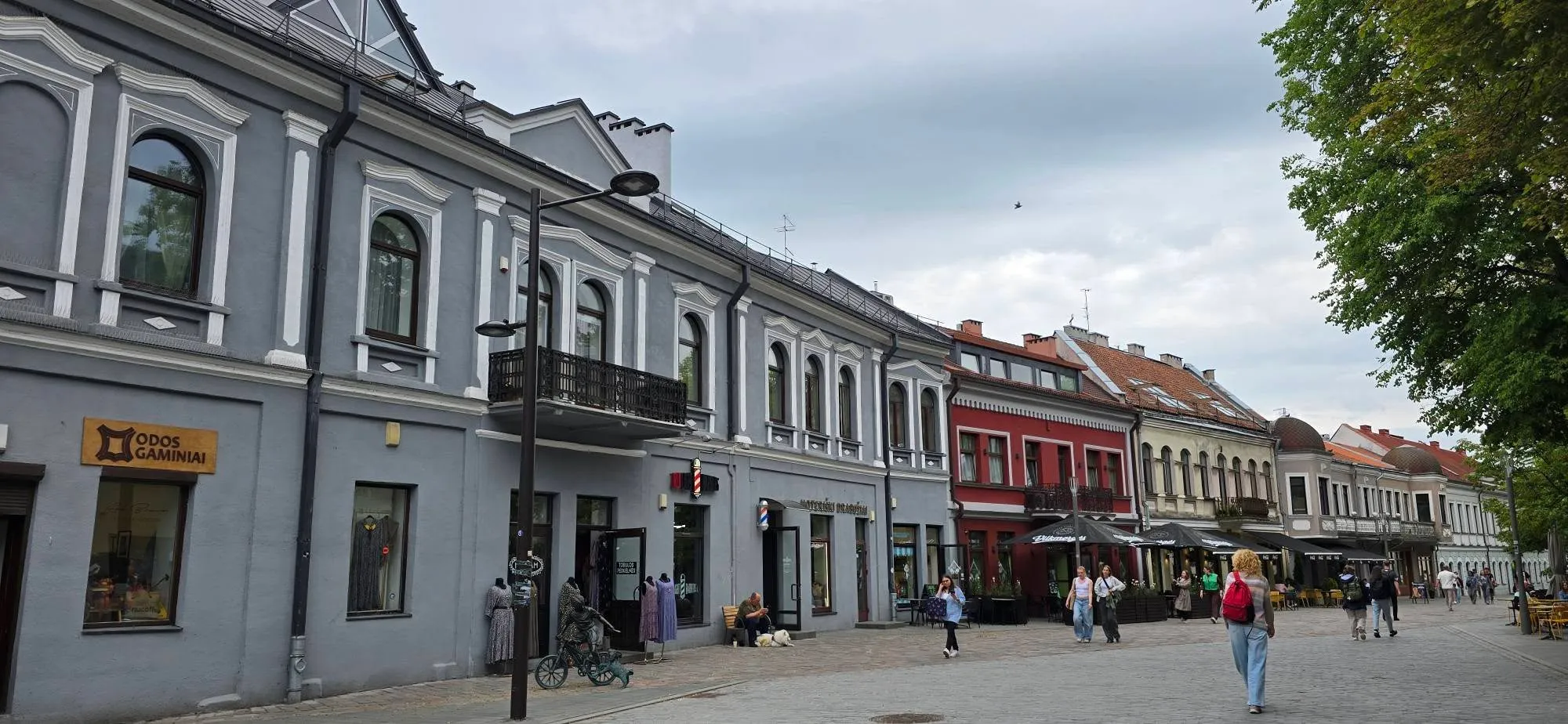 Kaunas 20