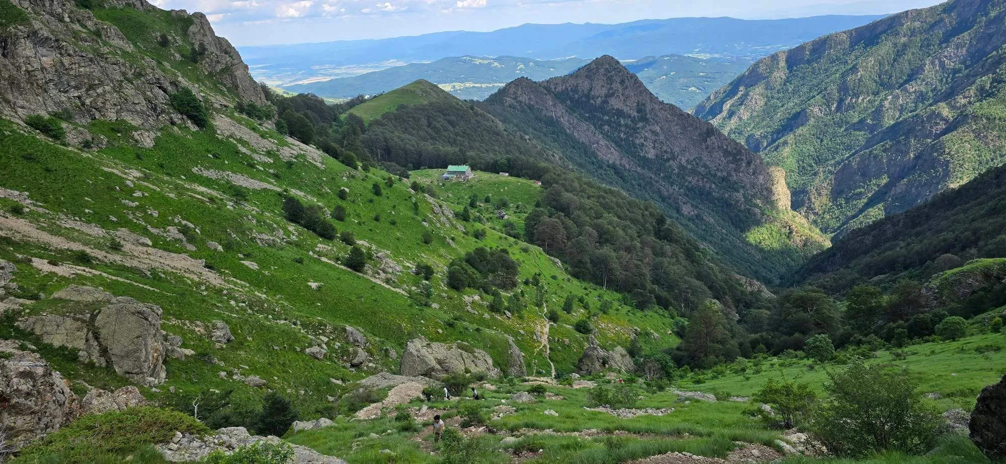 Райското пръскало 18