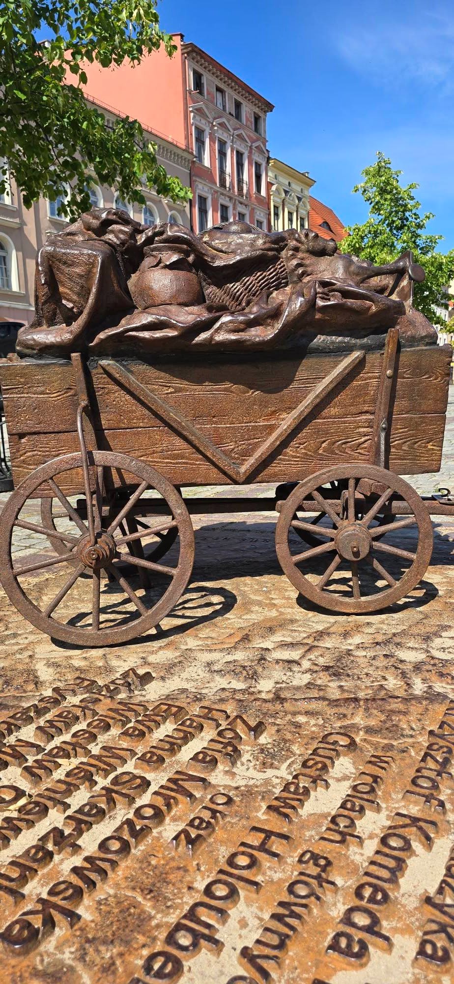 Torun 7
