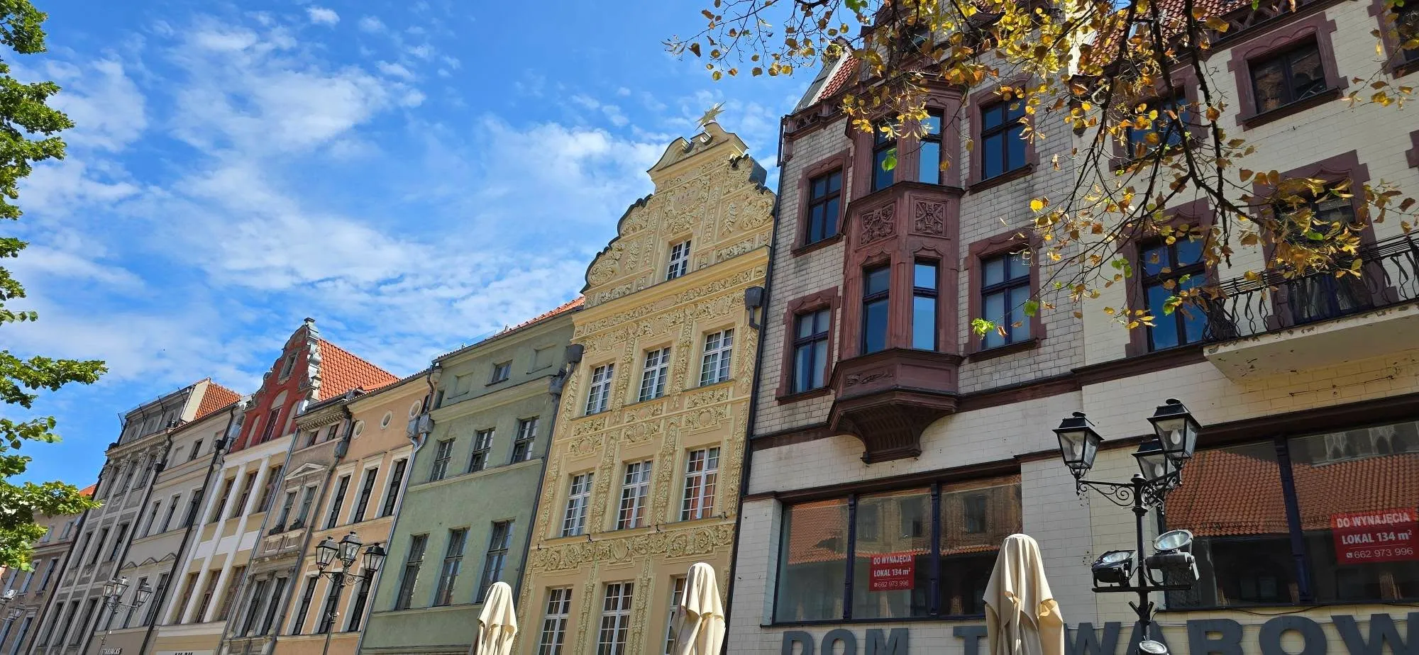 Torun 11