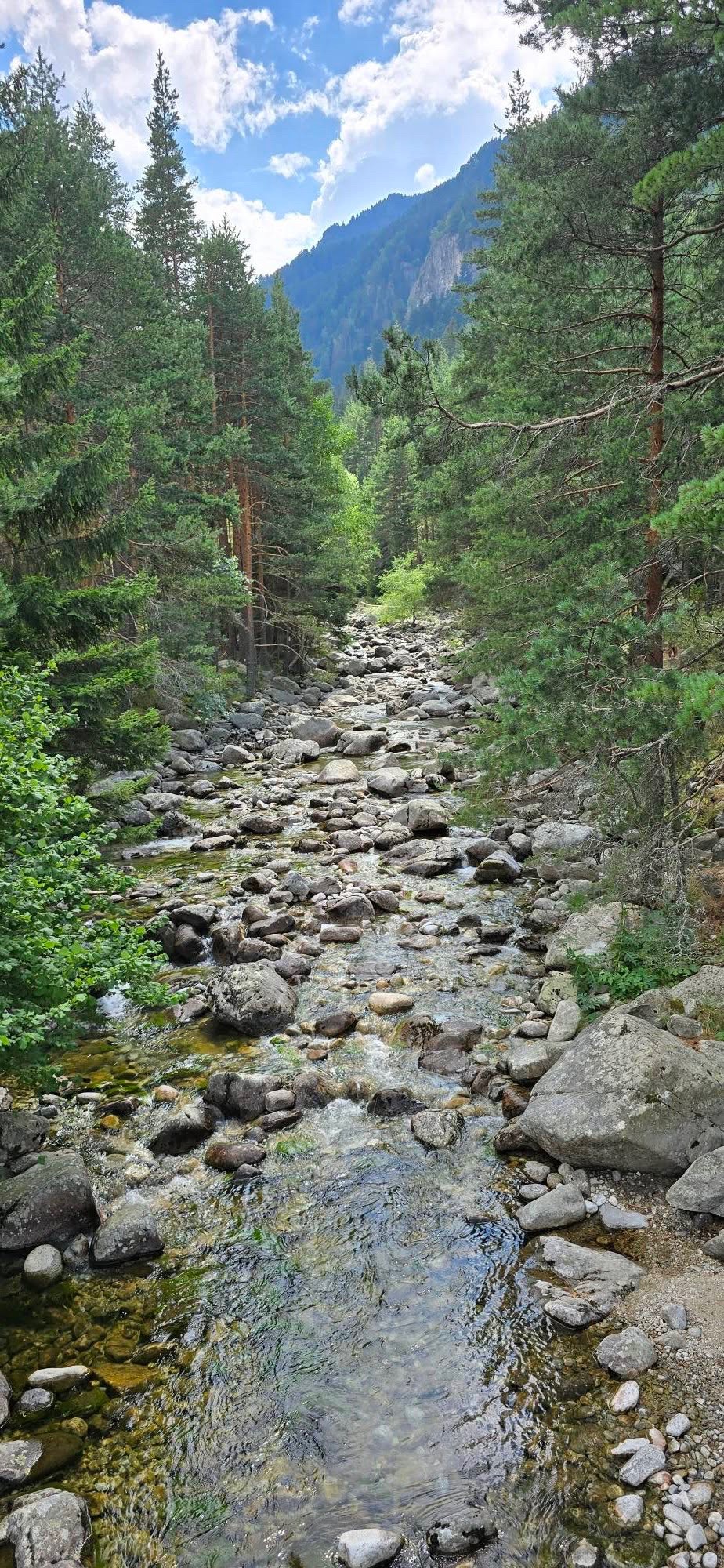Екопътека "Бели Искър" 🇧🇬 България 👇 5
