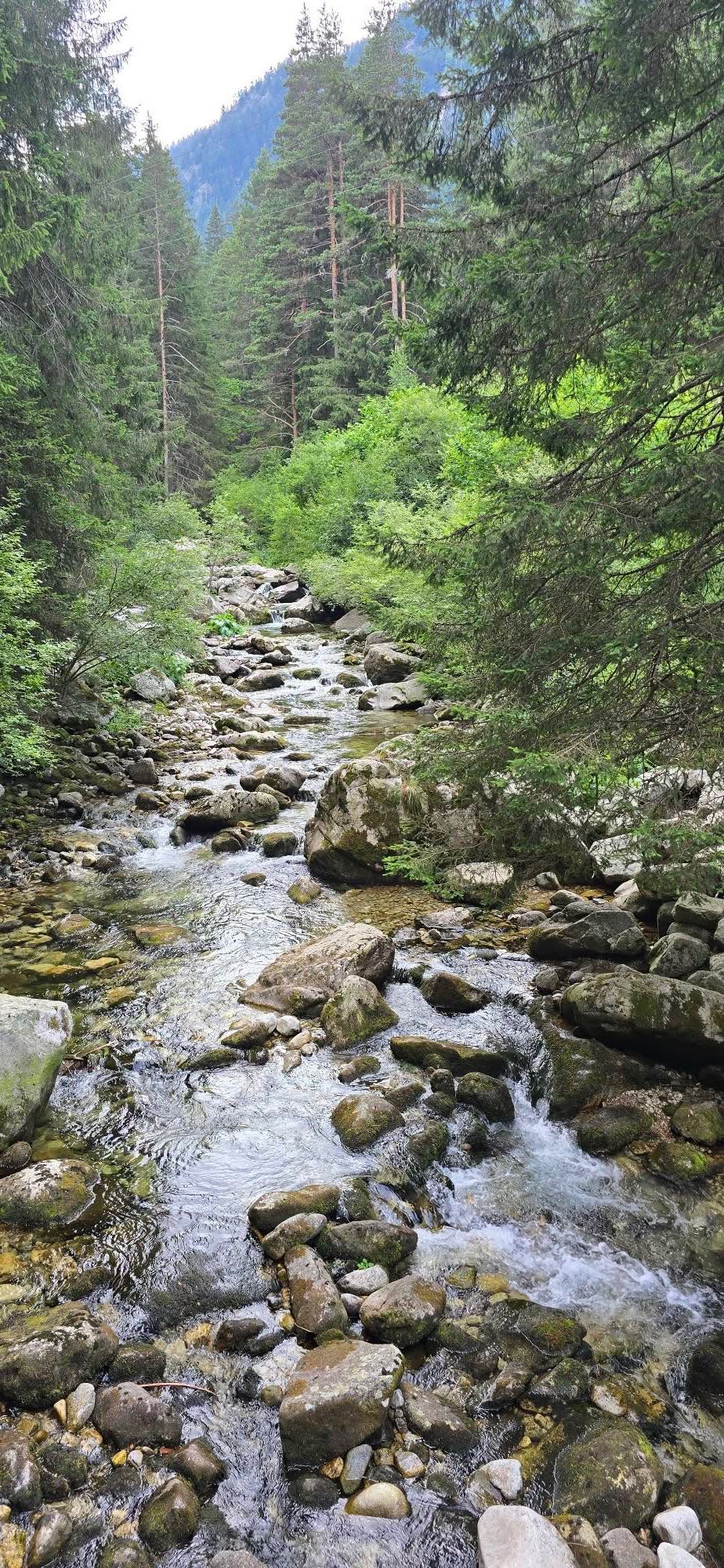 Екопътека "Бели Искър" 🇧🇬 България 👇 10