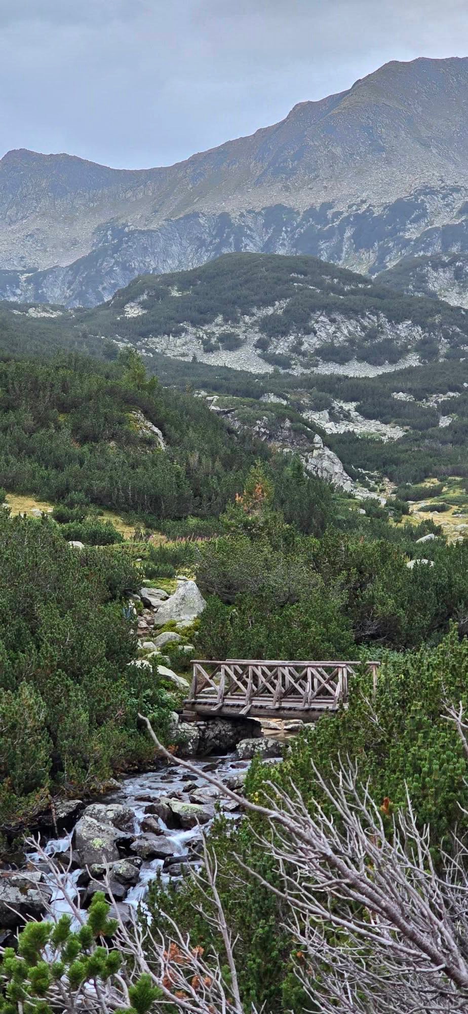 Връх Синаница 🇧🇬 България 👇 2