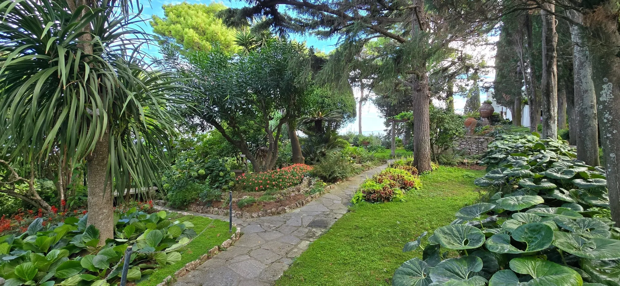 Капри 🇮🇹 ITALY 👇 13