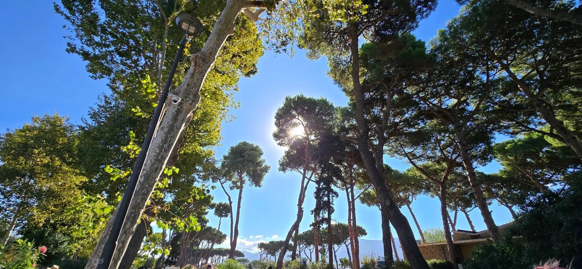 Помпей 🇮🇹 ITALY 👇 2